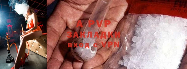 тгк Майский