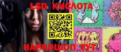 mdma Гатчина