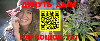mdma Гатчина