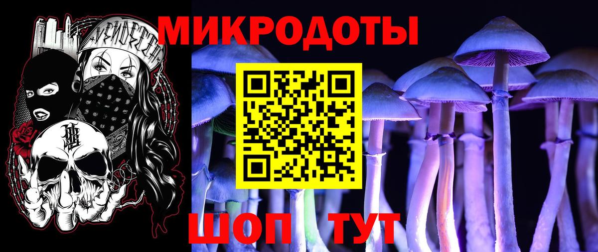 Псилоцибиновые грибы мухоморы Карачаевск